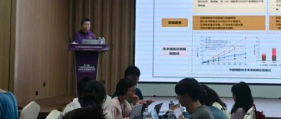 The 7th CEADs Future Scholars Summer School, Days 8 & 9: Following the Light, Advancing with Resolve
